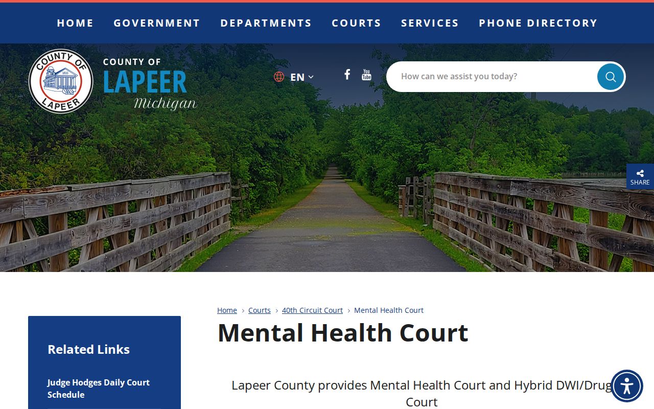 Lapeer County criminal case Mental Health Court program